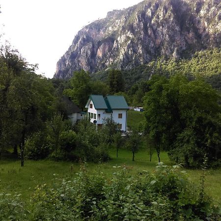 Vila Montana Dobrilovina Exteriör bild