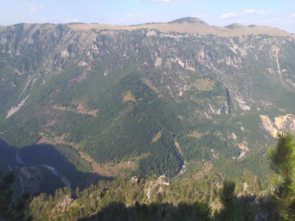 Vila Montana Dobrilovina Exteriör bild