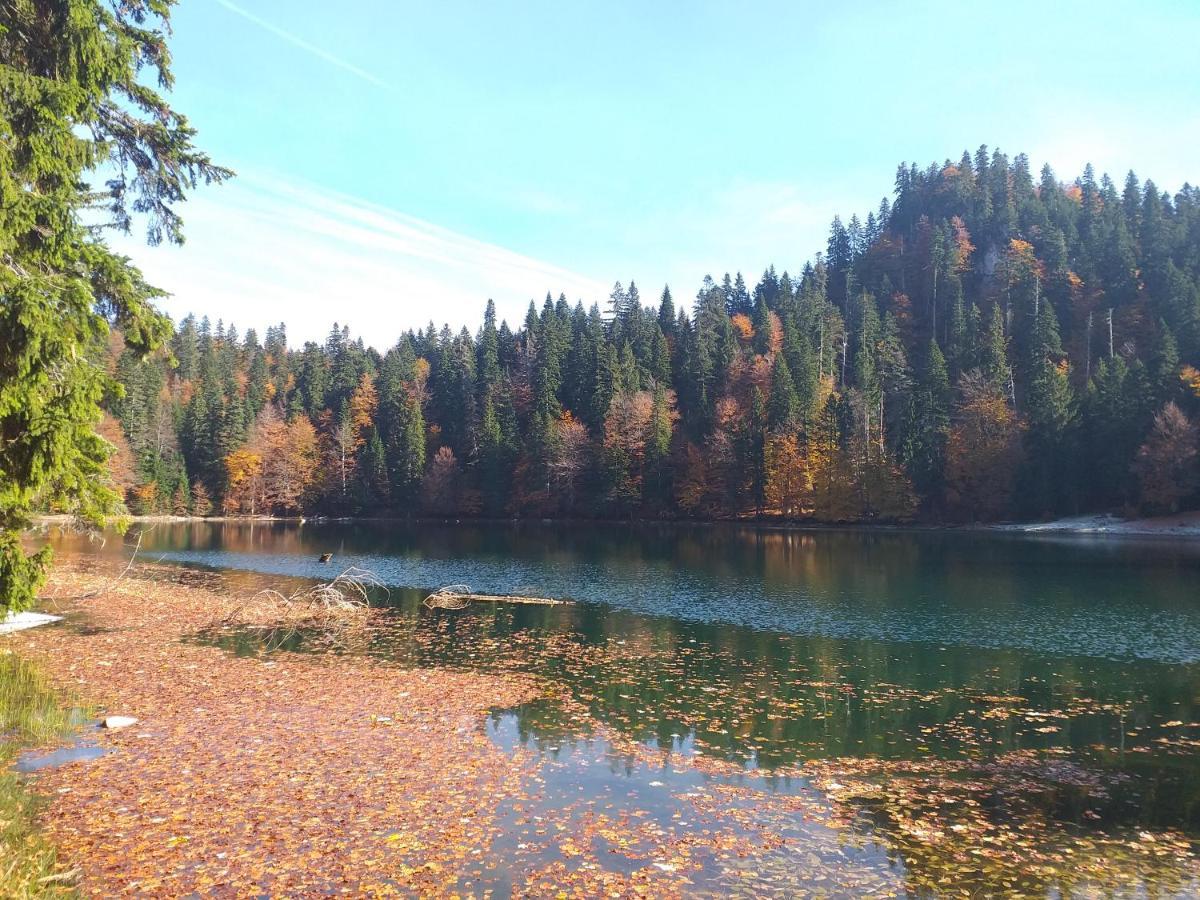 Vila Montana Dobrilovina Exteriör bild