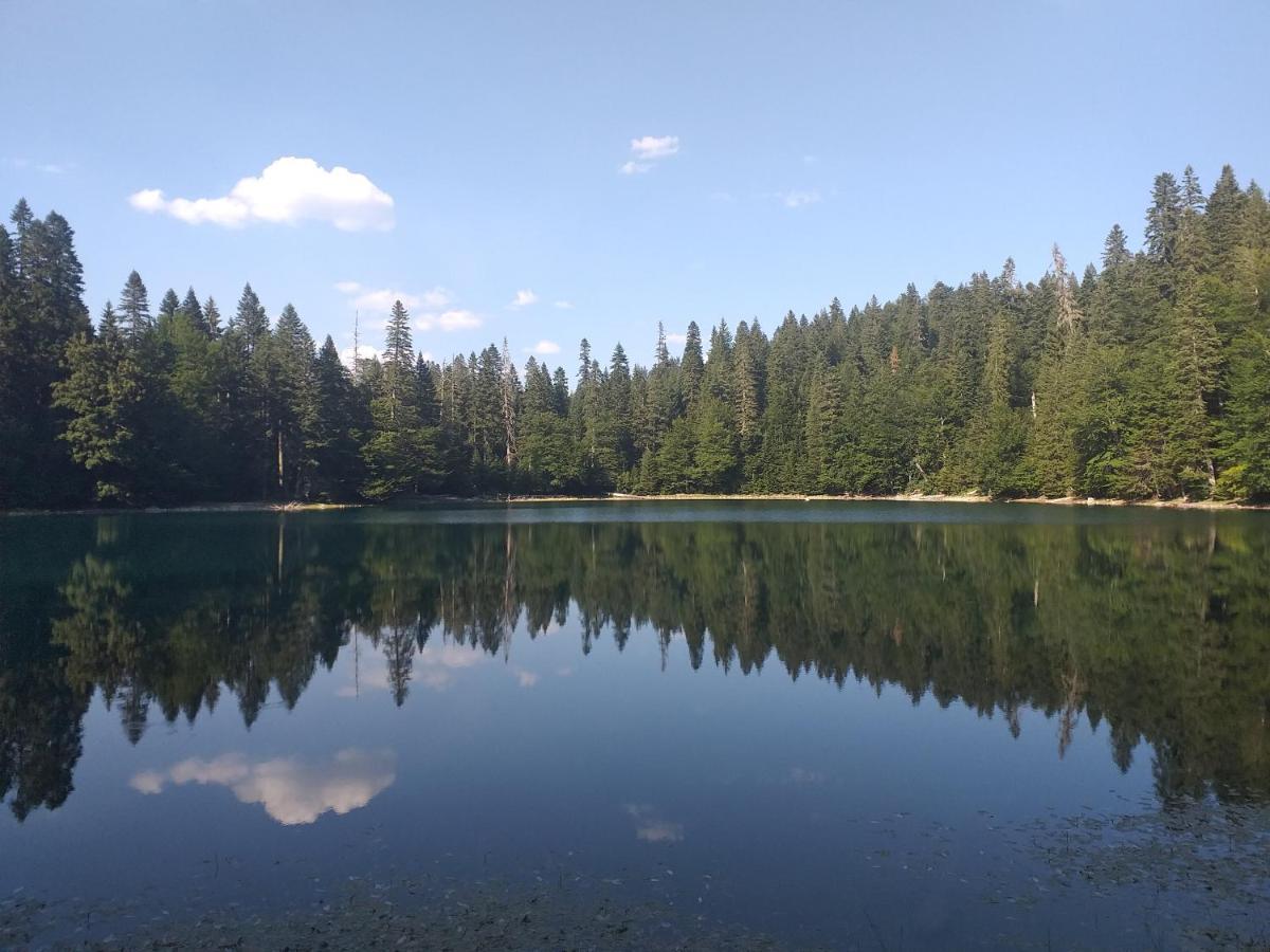 Vila Montana Dobrilovina Exteriör bild