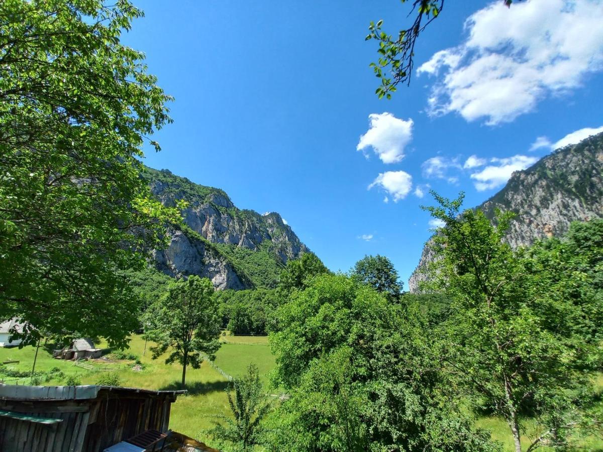 Vila Montana Dobrilovina Exteriör bild