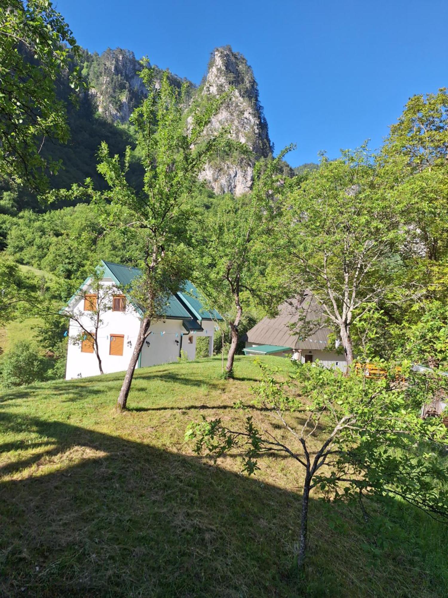 Vila Montana Dobrilovina Exteriör bild