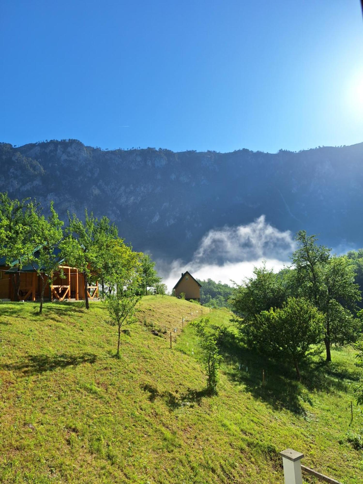 Vila Montana Dobrilovina Exteriör bild