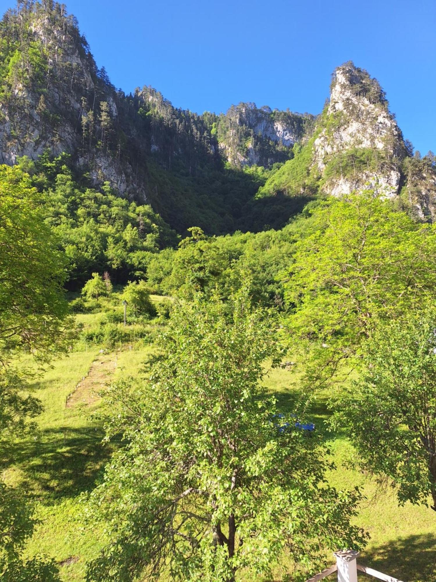 Vila Montana Dobrilovina Exteriör bild