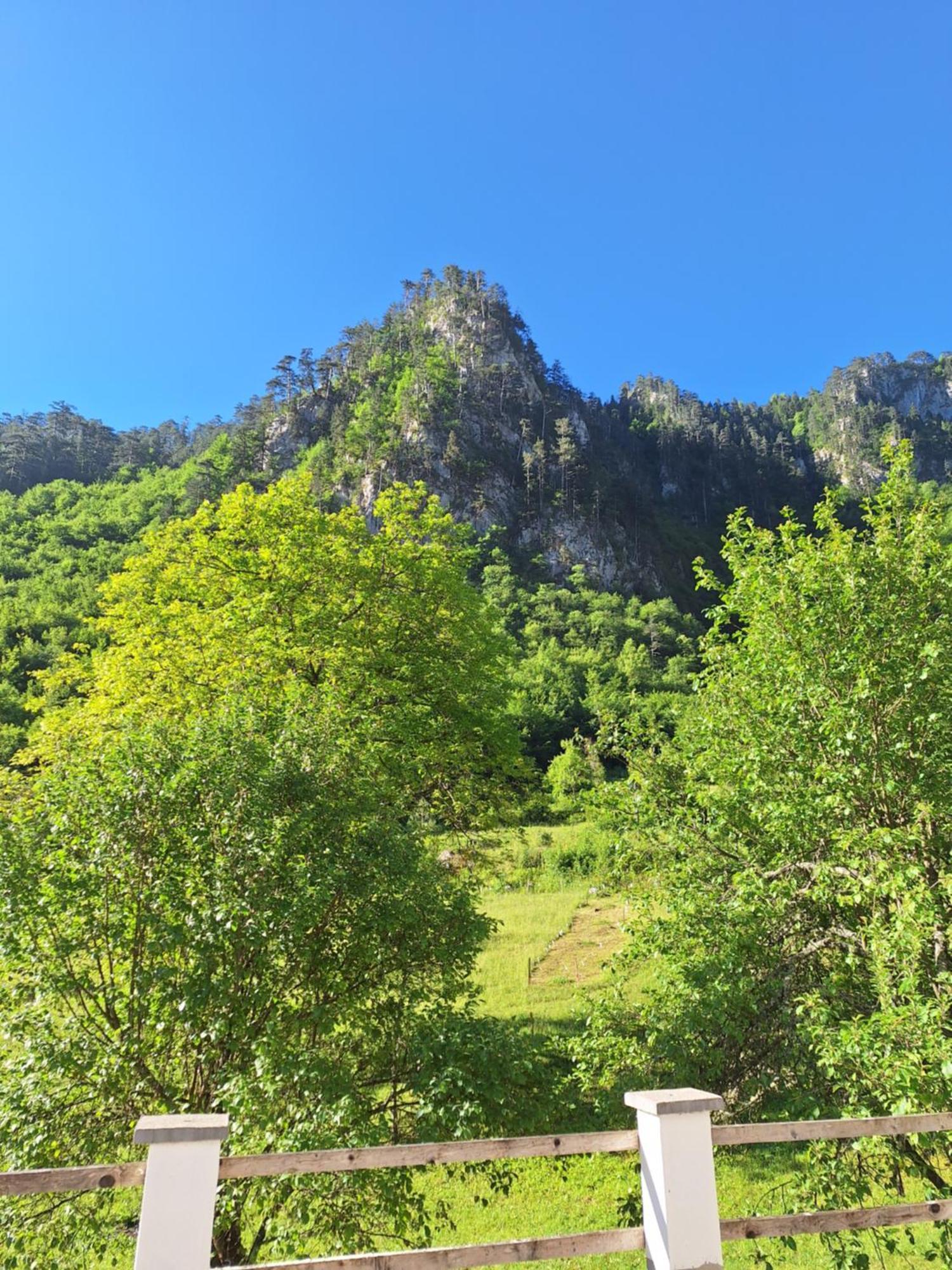Vila Montana Dobrilovina Exteriör bild
