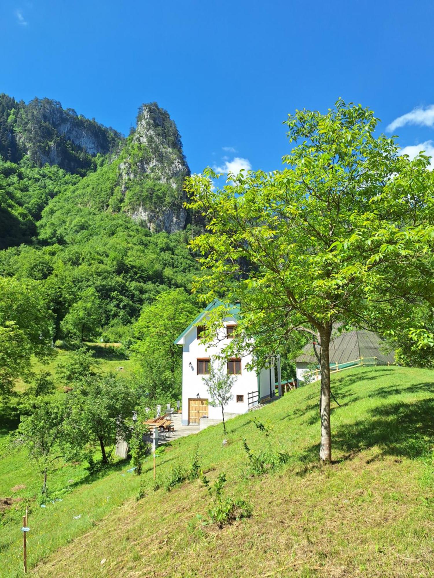 Vila Montana Dobrilovina Exteriör bild