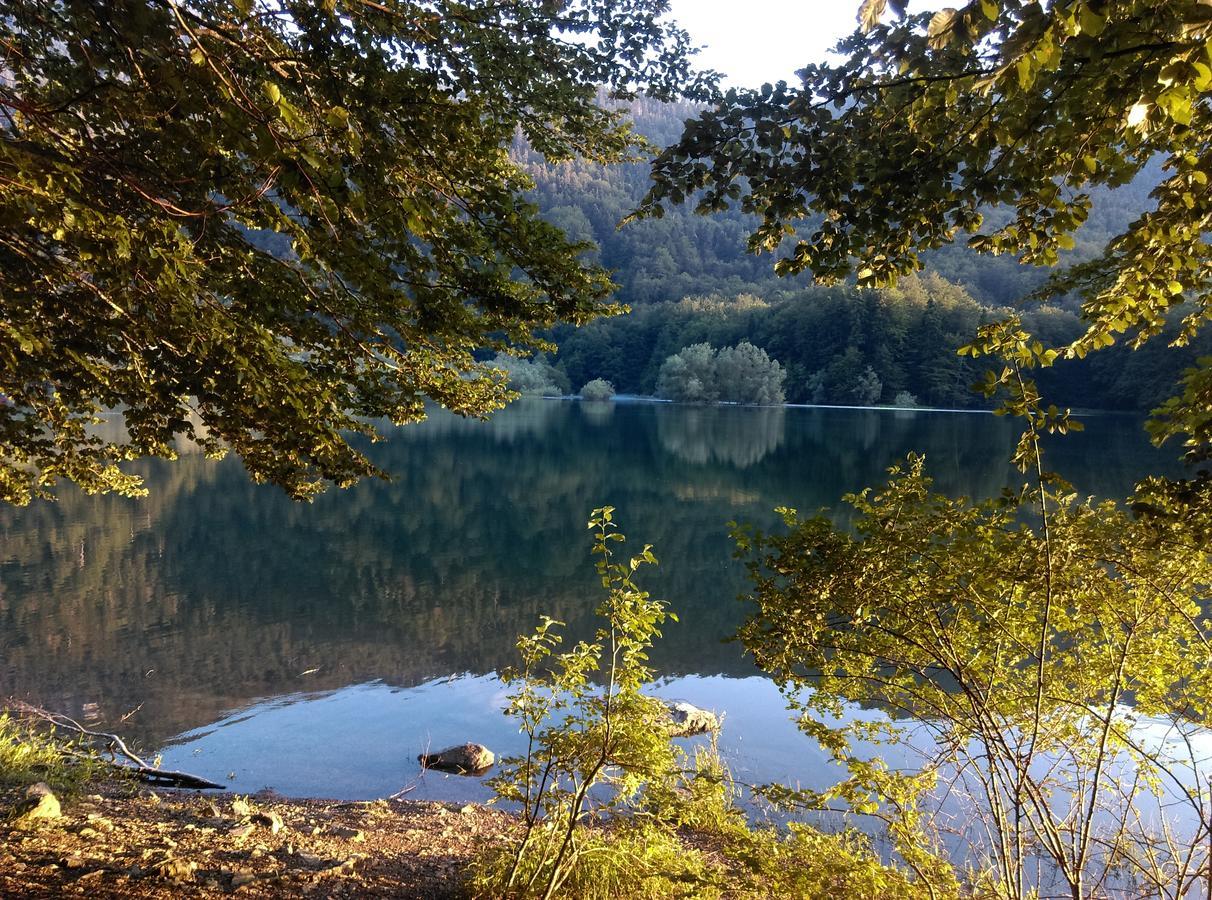Vila Montana Dobrilovina Exteriör bild