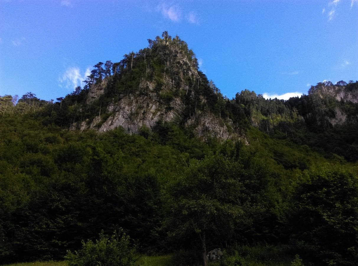 Vila Montana Dobrilovina Exteriör bild