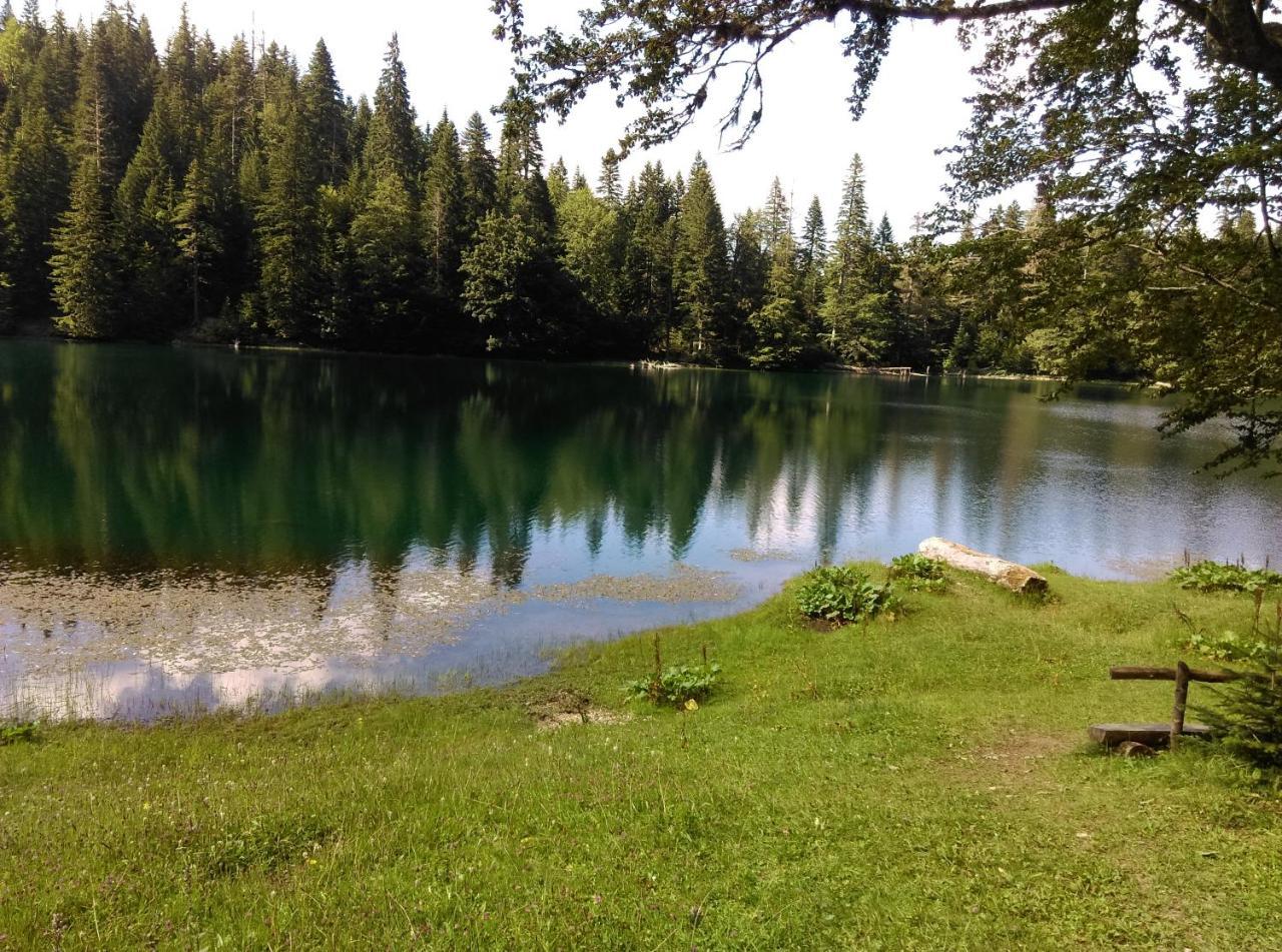 Vila Montana Dobrilovina Exteriör bild